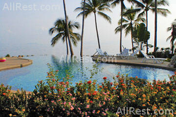Coconut Paradise 47